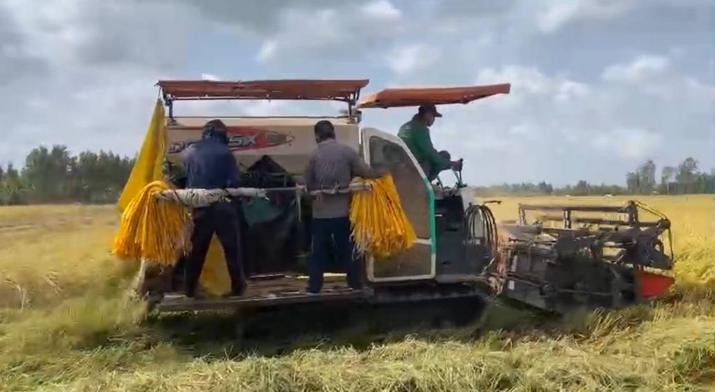 Đội máy cắt (5)