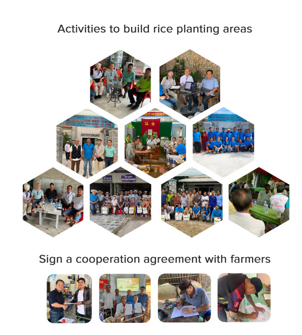 Activities to build rice planting areas.