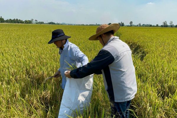 Kiểm đồng chương trình giảm phát thải - Tin Tức Vijafarm