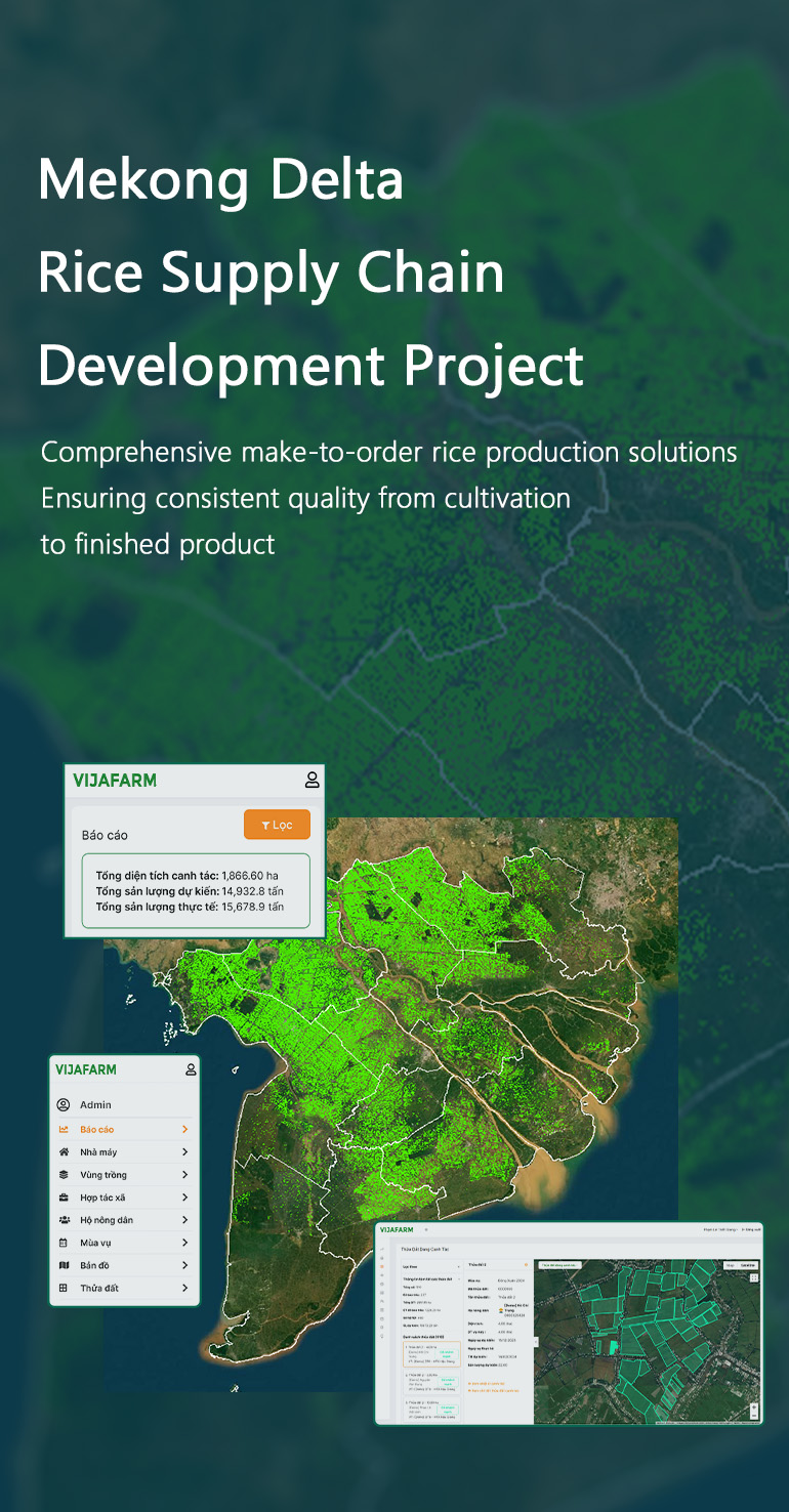 Rice supply chain development project