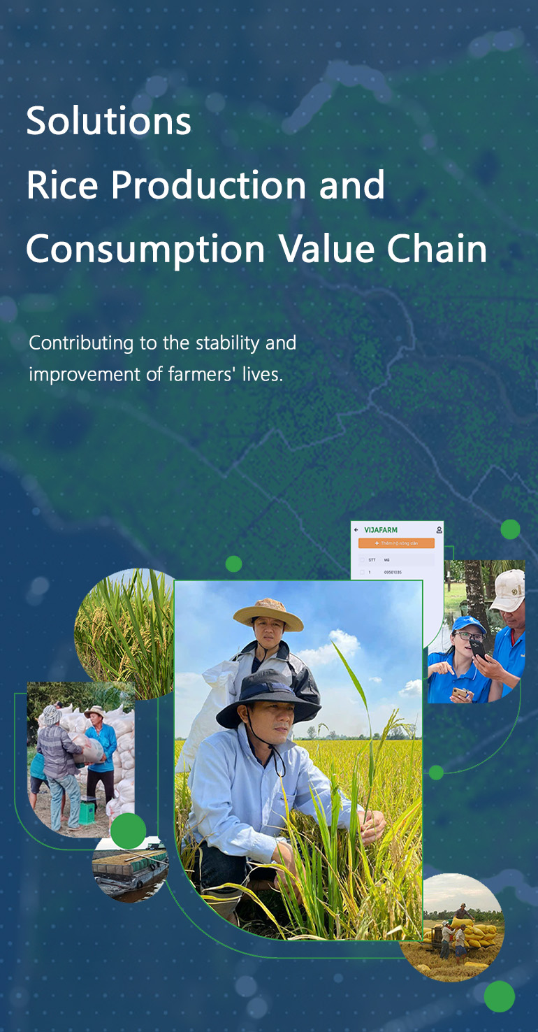 Solutions Rice production and consumption value chain